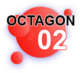 Octagon Lottery